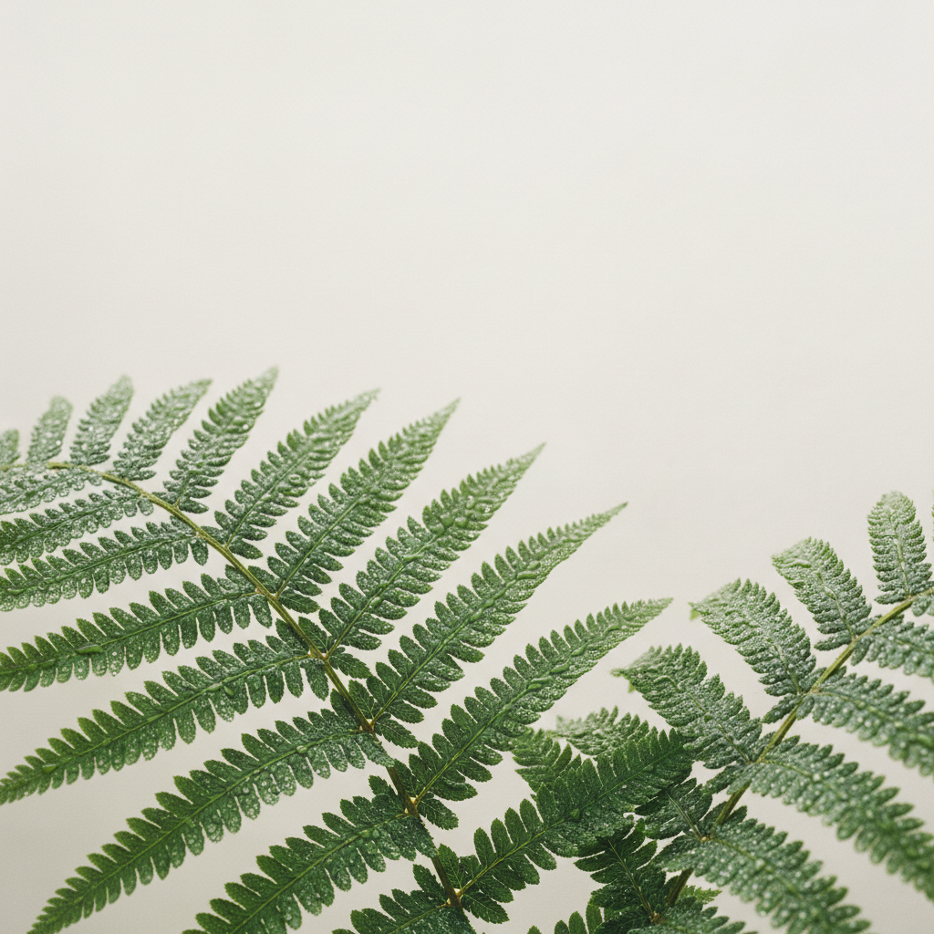 Soft Shield Fern