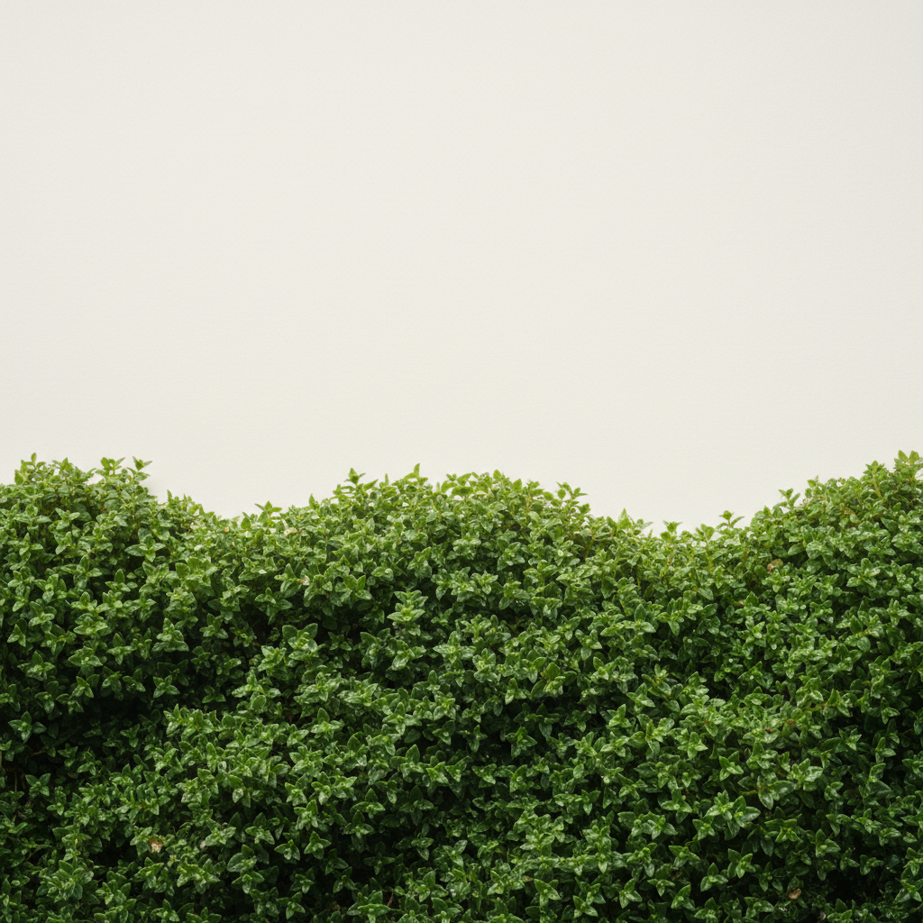 Green Carpet